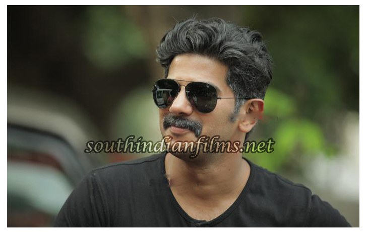 dq new look