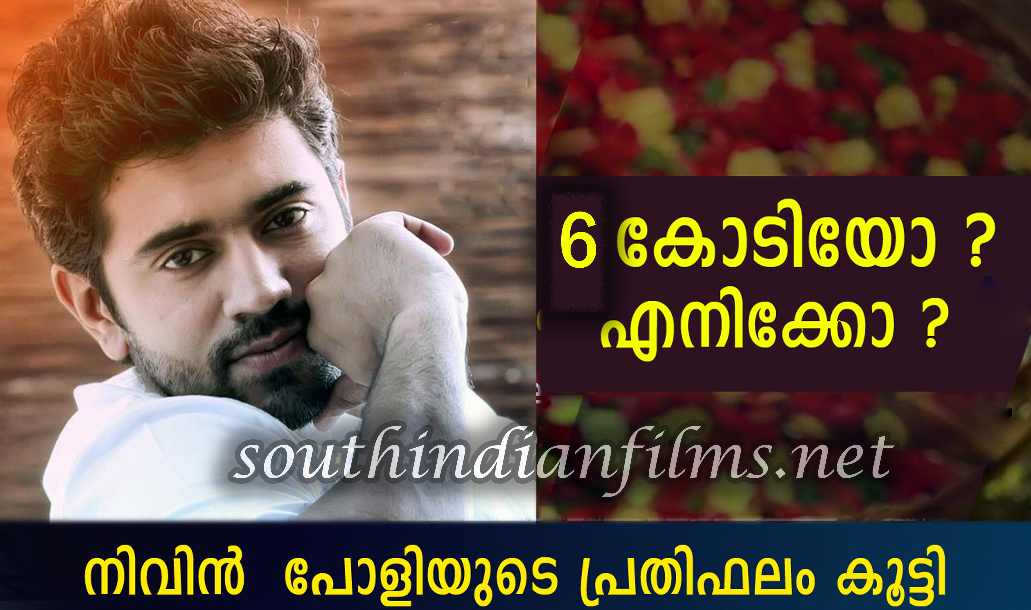 nivin south