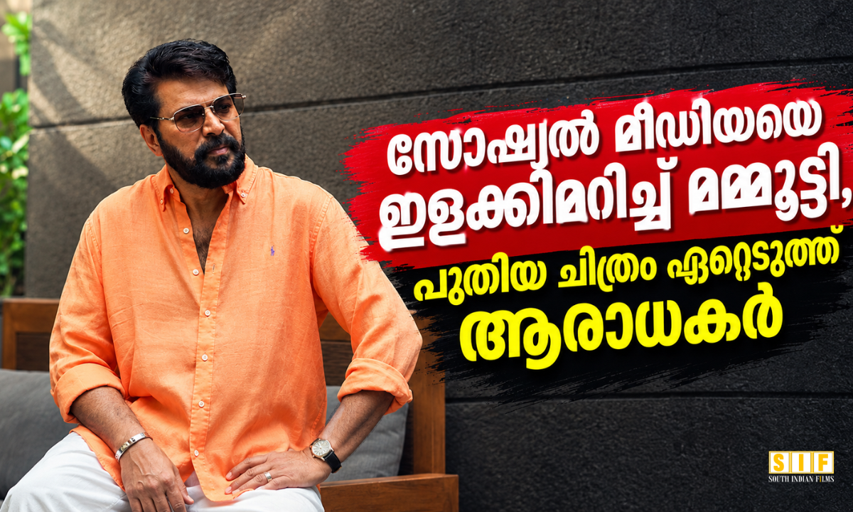 സോഷ്യൽ മീഡിയയെ ഇളക്കിമറിച്ച് മമ്മൂട്ടി, പുതിയ ചിത്രം ഏറ്റെടുത്ത് ആരാധകർ