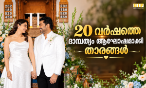 20 വർഷത്തെ ദാമ്പത്യം ആഘോഷമാക്കി താരങ്ങൾ